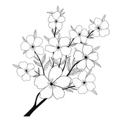 black and white flowers.set of floral elements for your design.hand drawn.flowers silhouettes. Vector EPS 10.