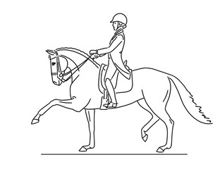 Line portrait horse and rider during advanced dressage test