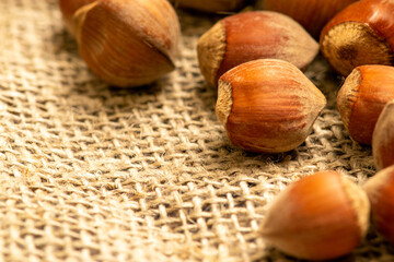 Hazelnut scattered on a background of homespun fabric with a rough texture. Close up.