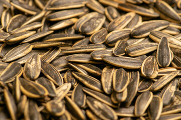 Scattered roasted sunflower seeds, the texture of the surface. Close up.