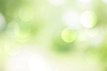 Obraz premium Green bokeh abstract background blur