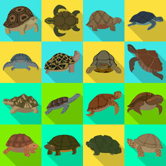 Sea turtle vector illustration on white background .Tortoise of animal vector flat set icon. Isolated flat set icon sea turtle .