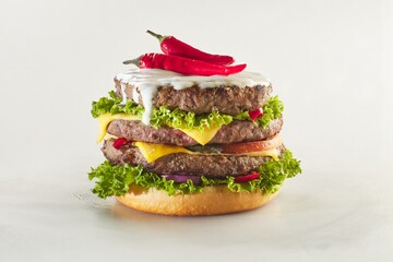 Burger shot of white background