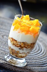 Cereal bowl with yoghurt and fresh cut orange pieces