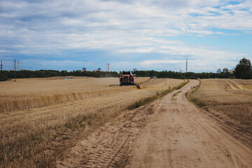 Harvester harvests wheat - 367495349