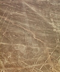 pelican geoglyph, Nazca mysterious lines and geoglyphs