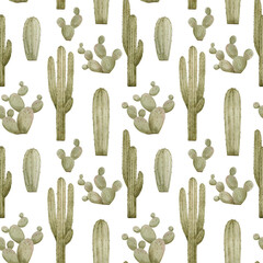 Watercolor seamless pattern with cactus. Cacti isolated on white background. Background with green plant of prairie.