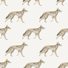 Watercolor seamless pattern with coyote. Hand-drawn dog isolated on white background. Wild prairie animal