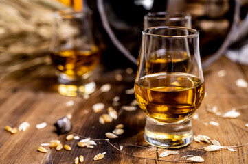 Small tasting glasses with aged Scotch whisky on old dark wooden vintage table with barley grains