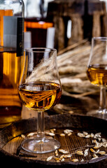 Tasting glasses with aged Scotch whisky or bourbon on old dark wooden vintage table with barley grains