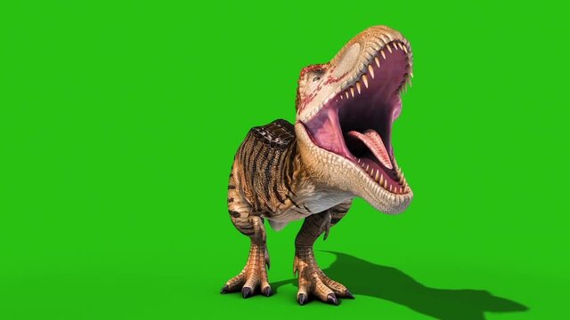 Angry T-Rex Roar Green Screen Front Loop 3D Rendering Animation Dinosaurs