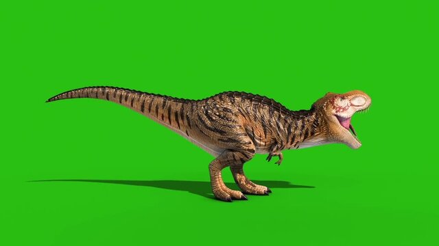 Angry T-Rex Roar Green Screen Side Loop 3D Rendering Animation Dinosaurs