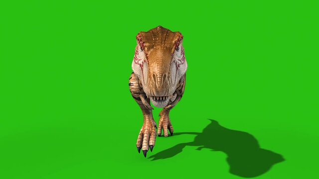 Angry T-Rex dinosaur runs in a looping s, Stock Video