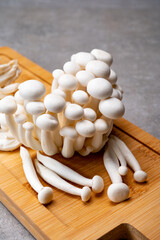 Fresh bunapi white shimeji edible mushrooms from Asia, rich in umami tasting compounds such as guanylic and glutamic acid