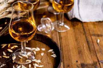 Tasting glasses with aged Scotch whisky or bourbon on old dark wooden vintage table with barley grains