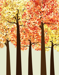 Autumn multicolored forest