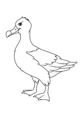 Cartoon albatross coloring page