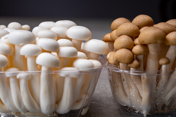 Fresh buna brown and bunapi white shimeji edible mushrooms from Asia, rich in umami tasting compounds such as guanylic and glutamic acid