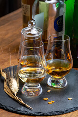 Scotch single malt and blended whisky tasting on distillery in Scotland