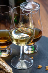 Scotch single malt and blended whisky tasting on distillery in Scotland