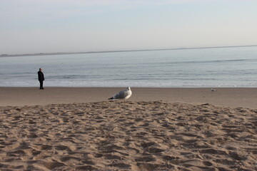 Brighton beach