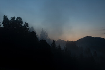Obraz premium ABENDLICHE NEBELSTIMMUNG . EVENING FOG ATMOSPHERE