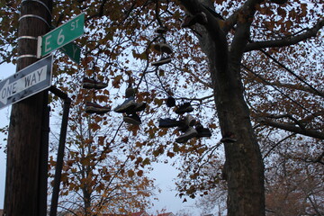 Shoes in Brooklyn
