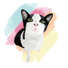 A black and white cat with green eyes on a watercolor background With blue, red, orange, yellow