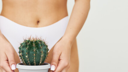 Depilation in the bikini zone concept. Woman holds cactus in pot on white panties background,...