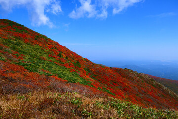 栗駒国定公園、紅葉の栗駒山。栗原、宮城、日本。10月上旬。