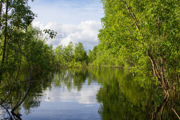 A secluded natural corner - a wonderful place for fishing