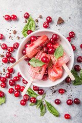 Homemade Vegan Cherry Popsicles in bowl with Coconut Milk, basil. Summer food concept top view