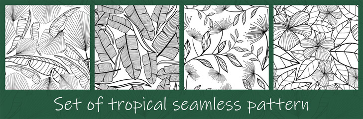 Set of Jungle leaves seamless pattern. Tropical palm leaves. Hand drawn exotic leaves with contour In black and white colors. Floral  line art background for fabric, textile, T-shirts and wallpaper.