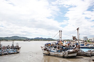 Fototapeta premium 한국에서여행하며찍은사진입니다