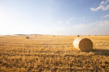 Fototapeta premium Beautiful landscape with straw bales in harvested fields, with blue sky and clouds, agriculture farming concept