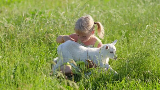 6 year old girl in the meadow with a small white goat.