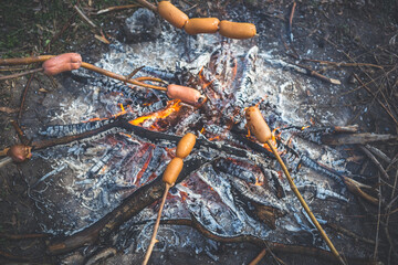 Cooking fried sausages on a fire in the forest