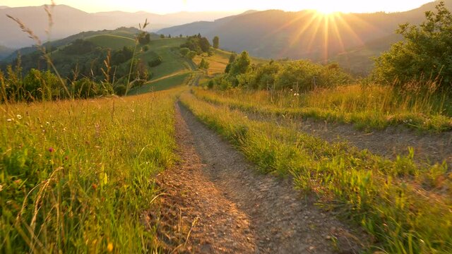 Hiking journey to mountains. Walking a path among rich grass and wildflowers during sunset. Sun shining on mountains in background. 4K
