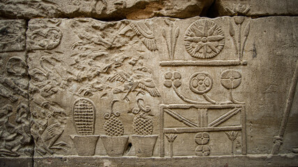 Hieroglyphic in Edfu HOrus temple showing abundance of food resources corn grape culture of Egypt meal kitchen pots and jars
