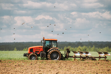 Flock Of Birds Of Seagull Flies Behind Tractor Plowing Field In Spring Season. Beginning Of Agricultural Spring Season. Cultivator Pulled By A Tractor In Countryside Rural Field