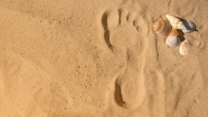 footprint of a woman's bare feet, footprints on the golden sand and a composition of seashells. the concept of opening beaches, visiting after quarantine.