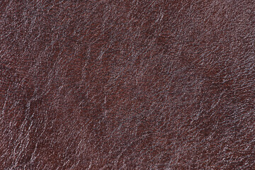 Fototapeta premium High resolution texture. Background. Skin.