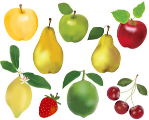 Set of fruits and berries. Apple, pear, lemon, lime, cherry, strawberry. Isolated on white.