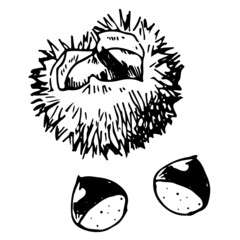 ペンで描いたいがぐり