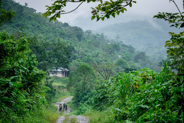 Tesoro Chiquito, La Taña, Franja Transversal del Norte , departamento de  Quiché,  Guatemala
