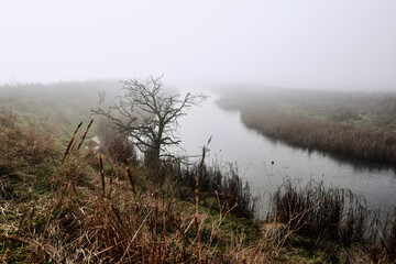 Oare, Faversham, Kent, UK. Early morning mist at Oare Marshes Nature Reserve.