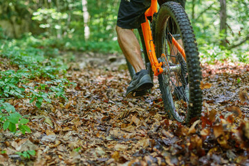 Fototapeta na wymiar detail of a mountain bike wheel starting in the forest