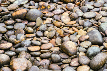 Close up view of smooth polished multicoloured stones decorate in the park
