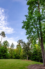 Obraz premium rolling hills with blue sky and white clouds