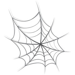 Spider web isolated on white background. Halloween attribute in cartoon style.